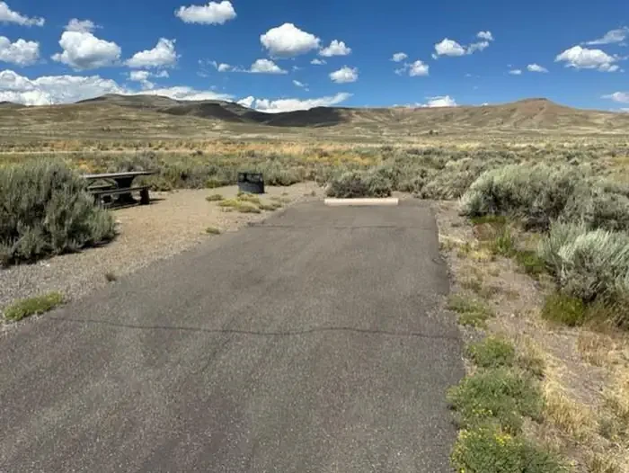 B36