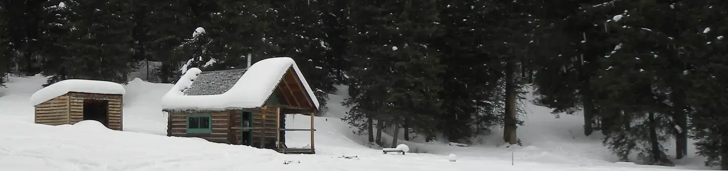 Beaver Creek Cabin (mt)