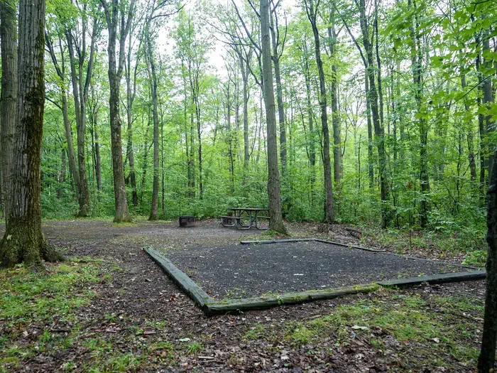 Blueberry Patch Campground