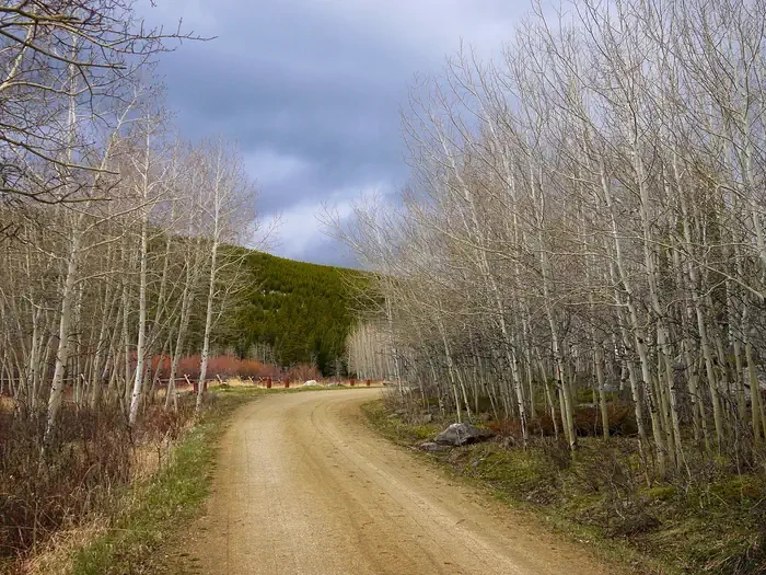 Circle Park Campground