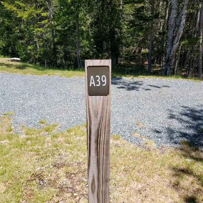 A39