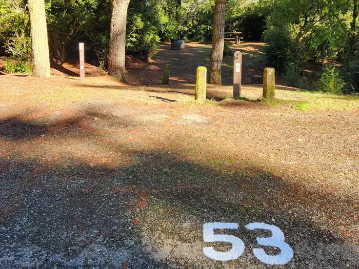 53