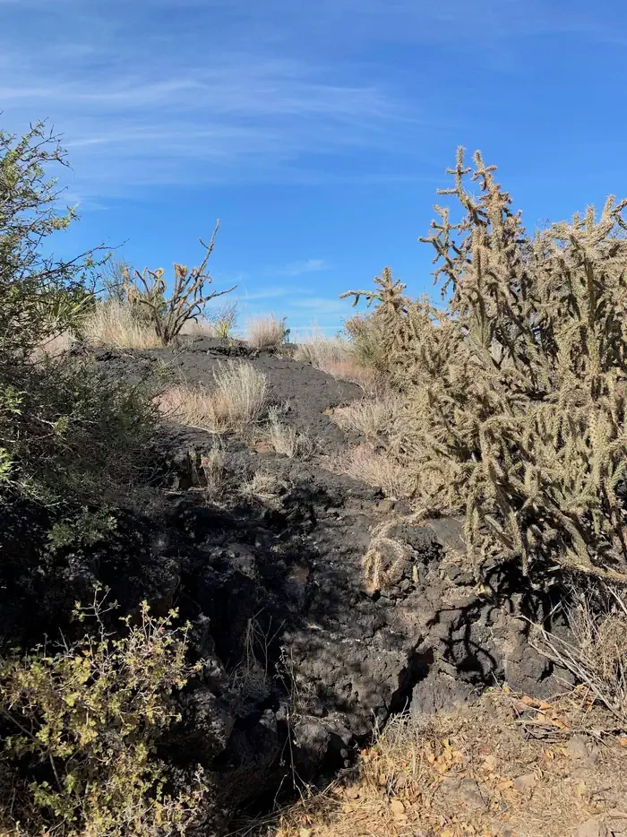 Site 24