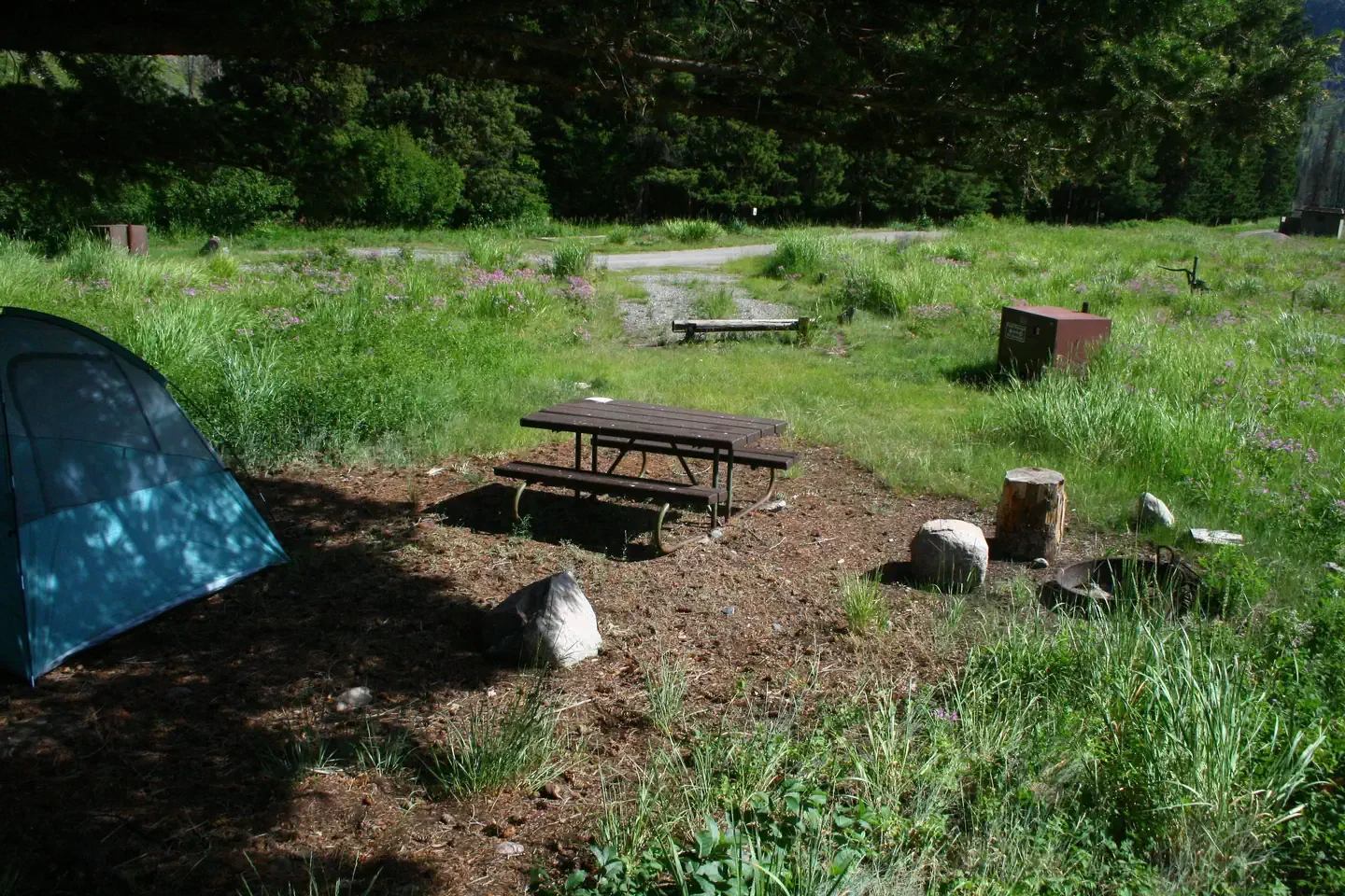 Slough Creek site #8