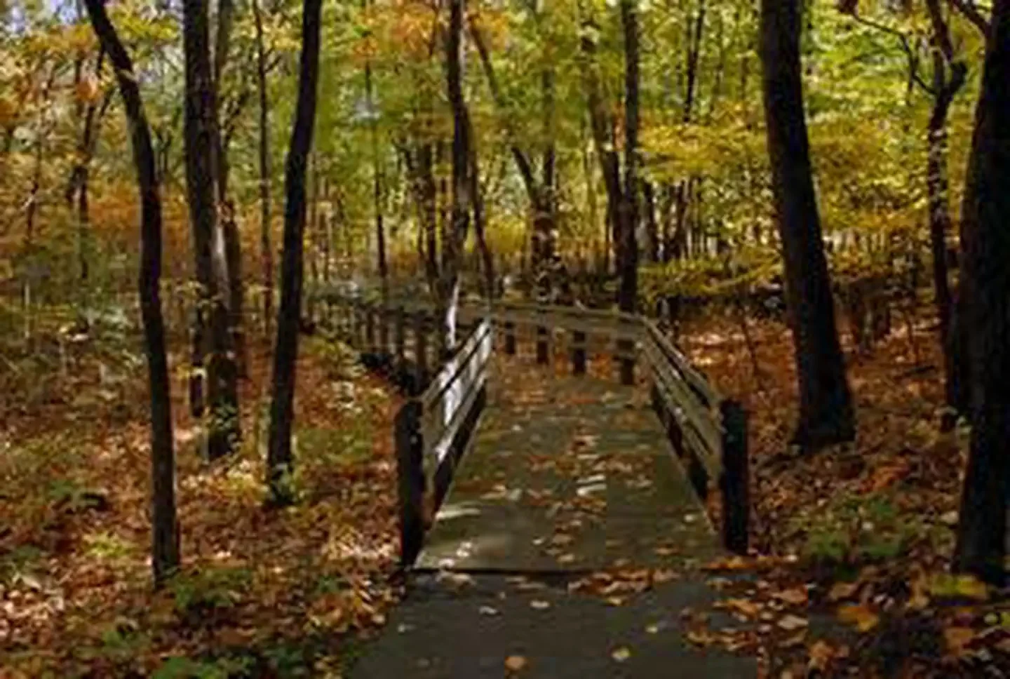 Dunewood Campground