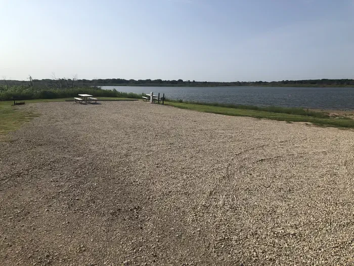 C021 (Buddy Site)