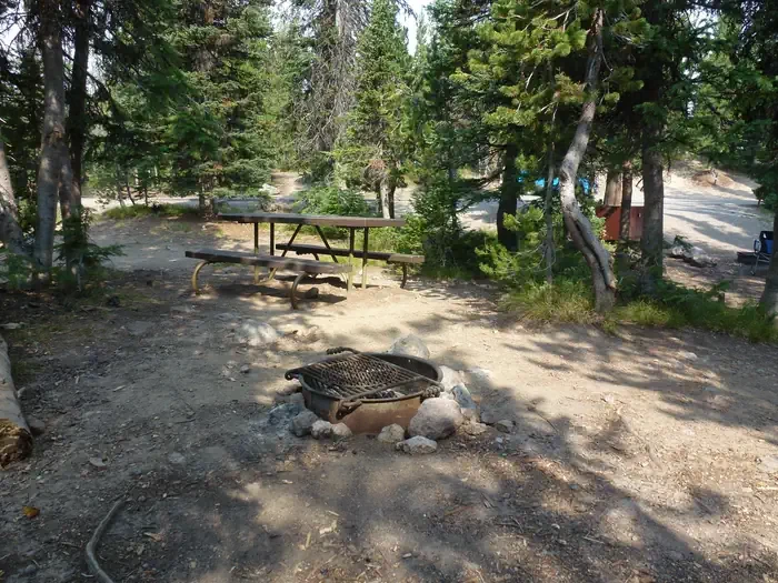 Lewis Lake site #66