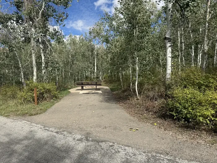 C13