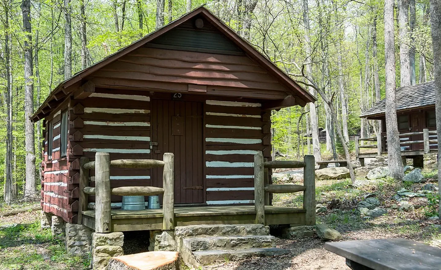 Cabin 25