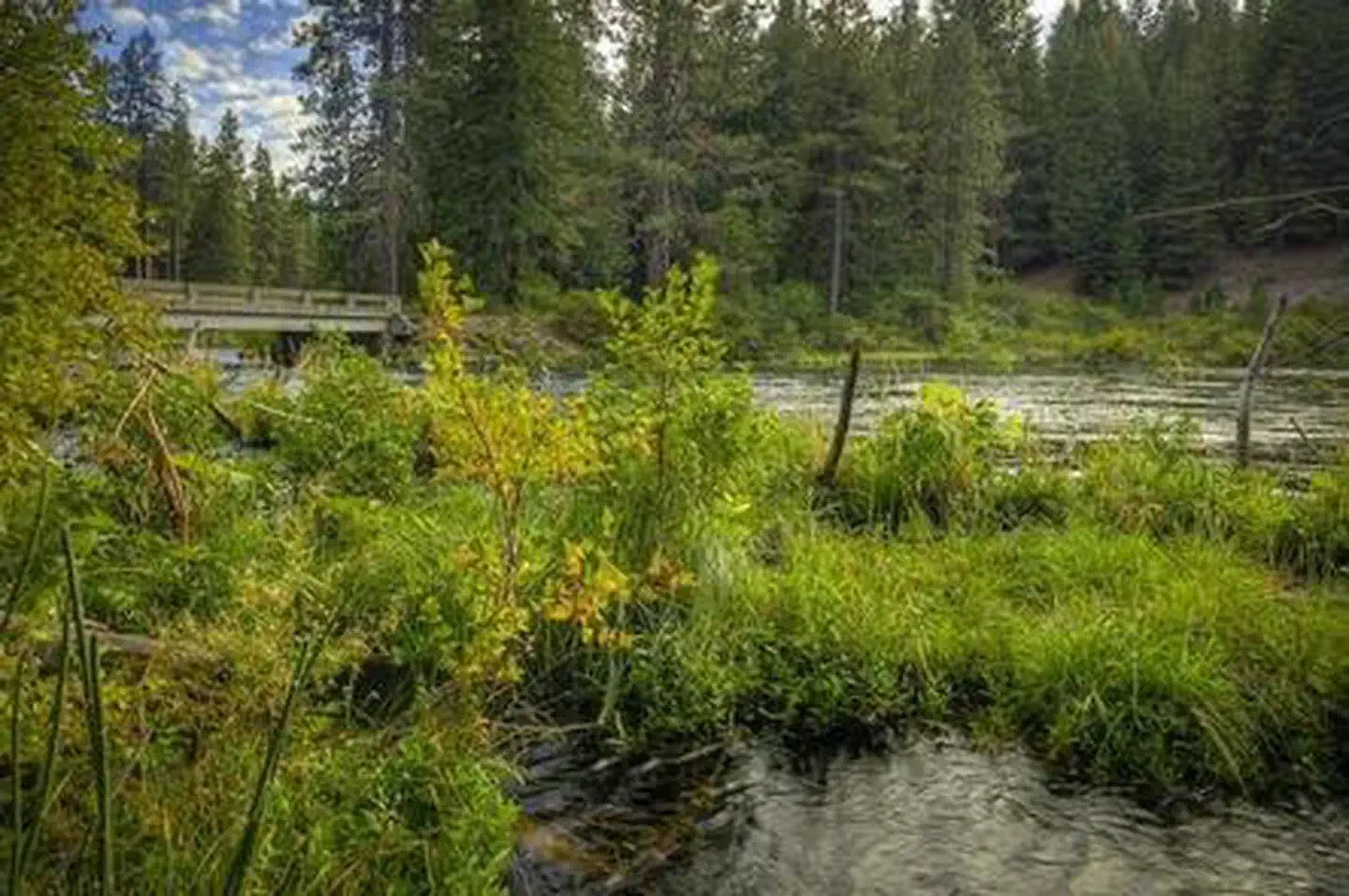 Lower Bridge Campground