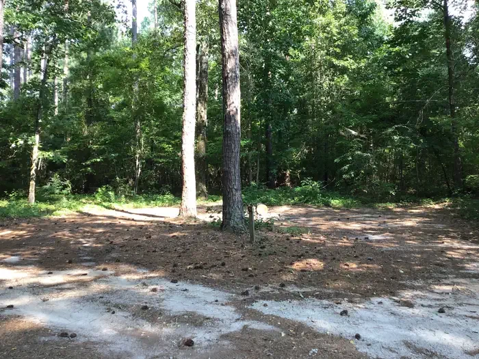 Site 05