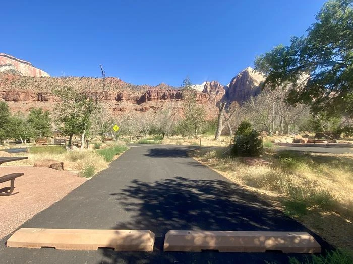 B 24