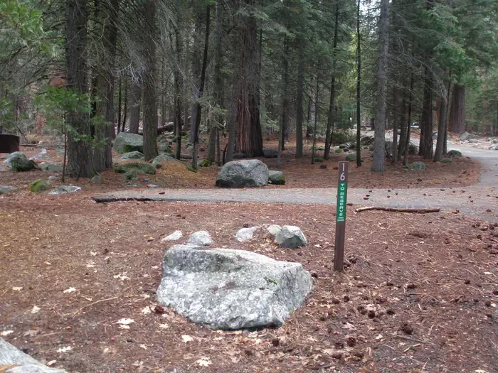 Site: 16