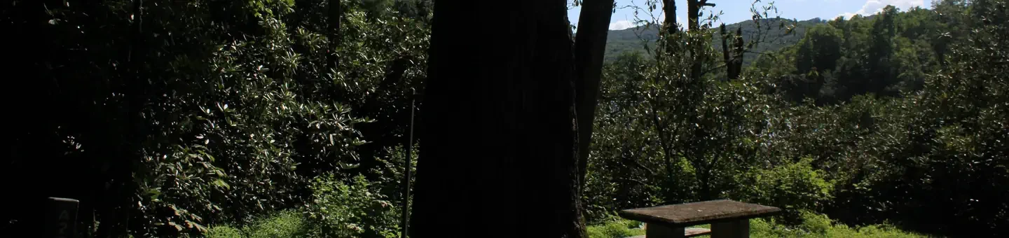 A27