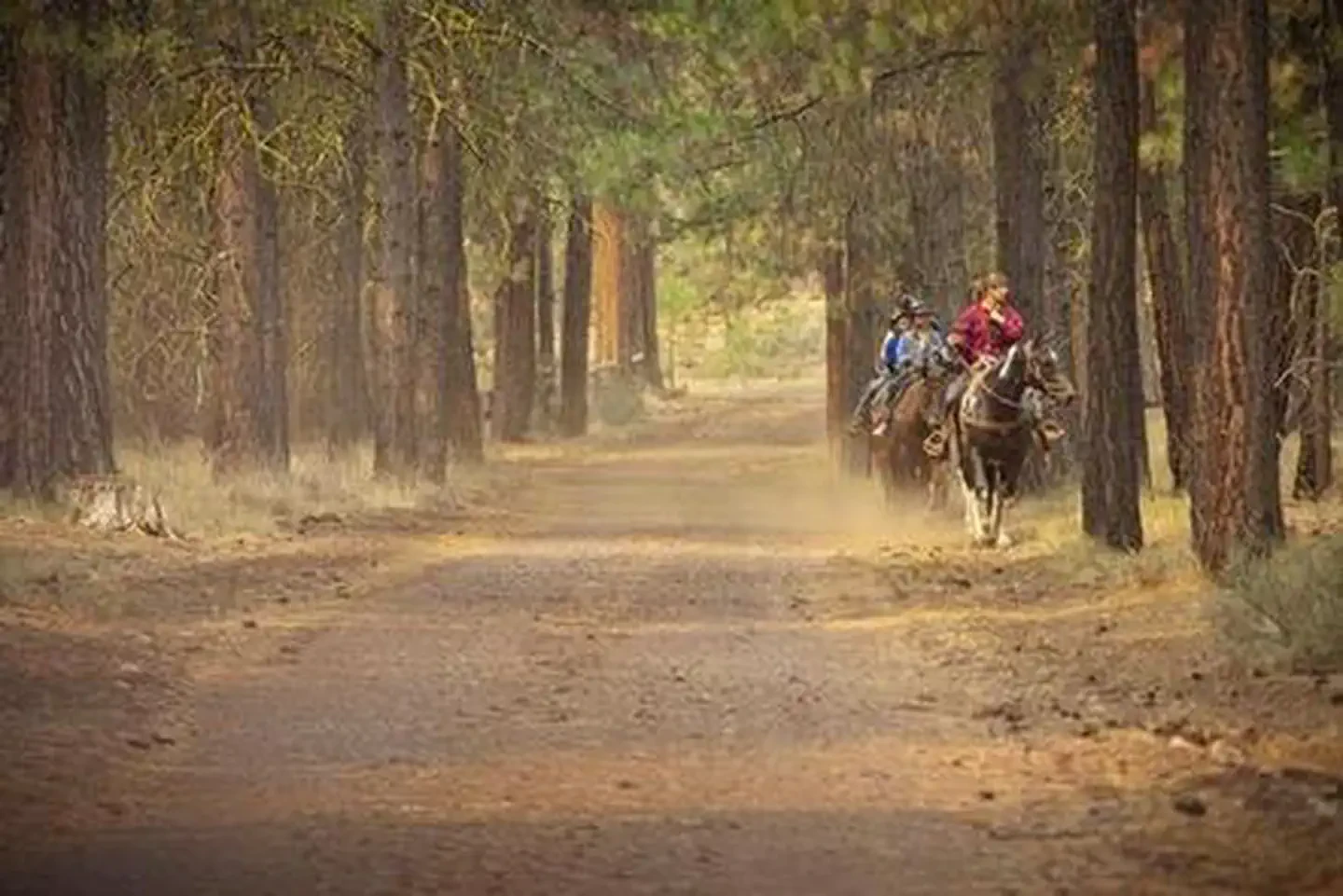 Graham Corral Horse Campground