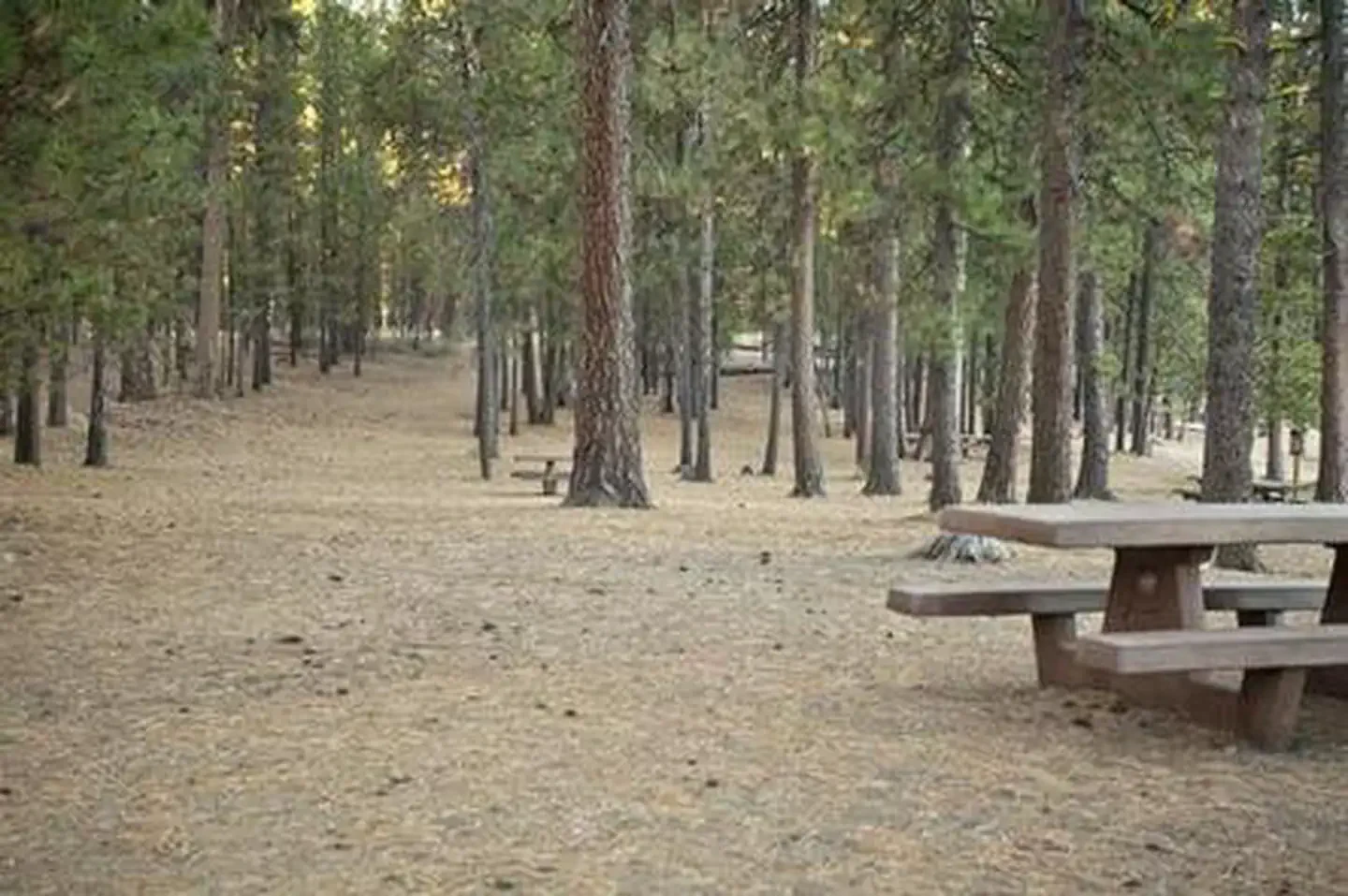 South Twin Lake Campground