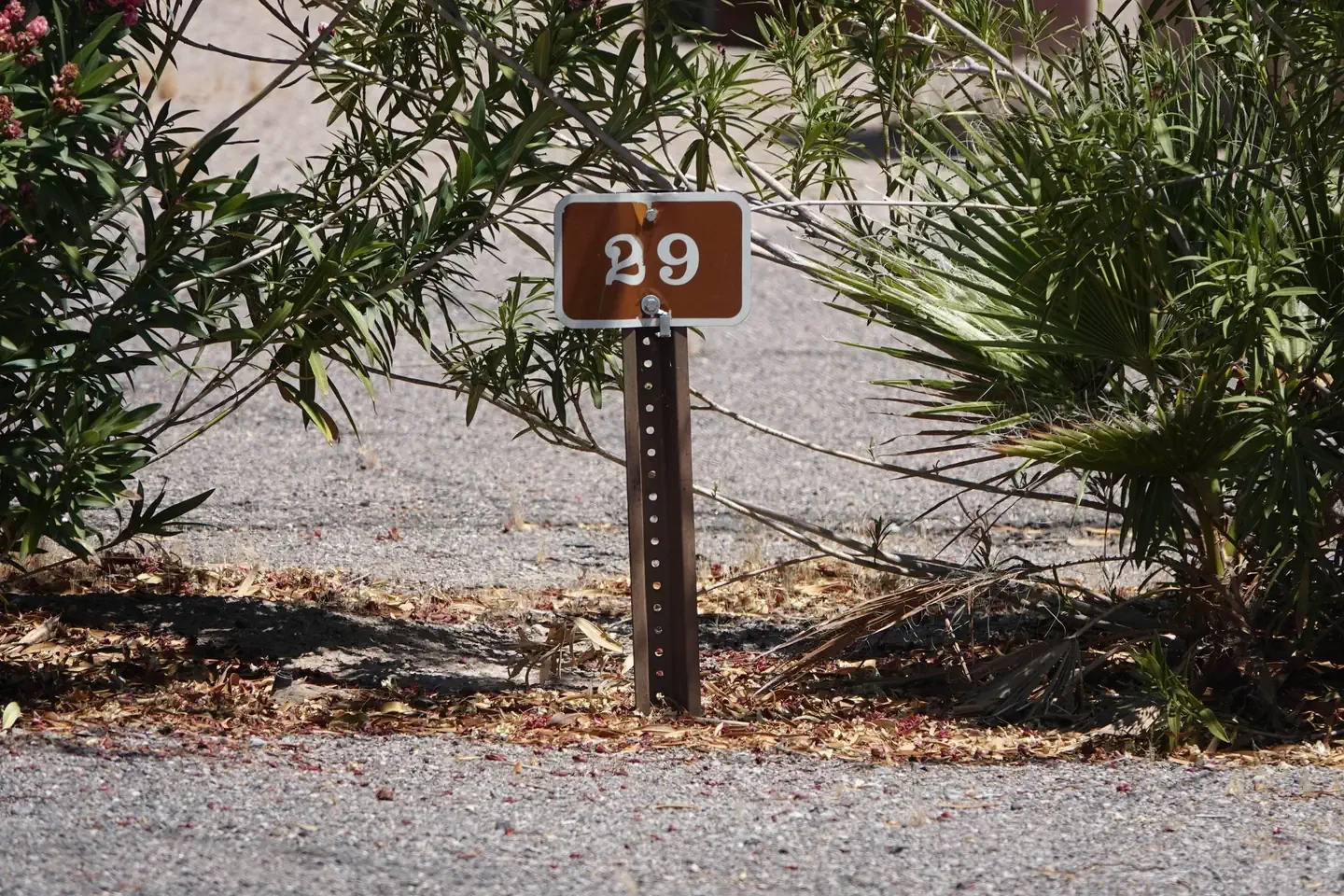 Site 29