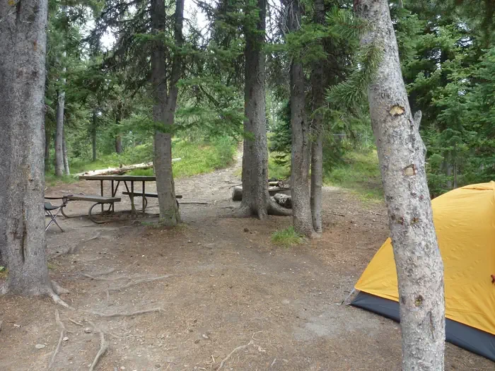 Lewis Lake site #5