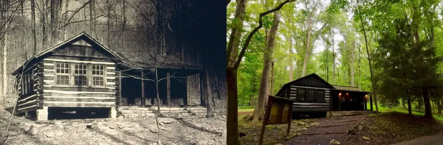 Camp Misty Mount