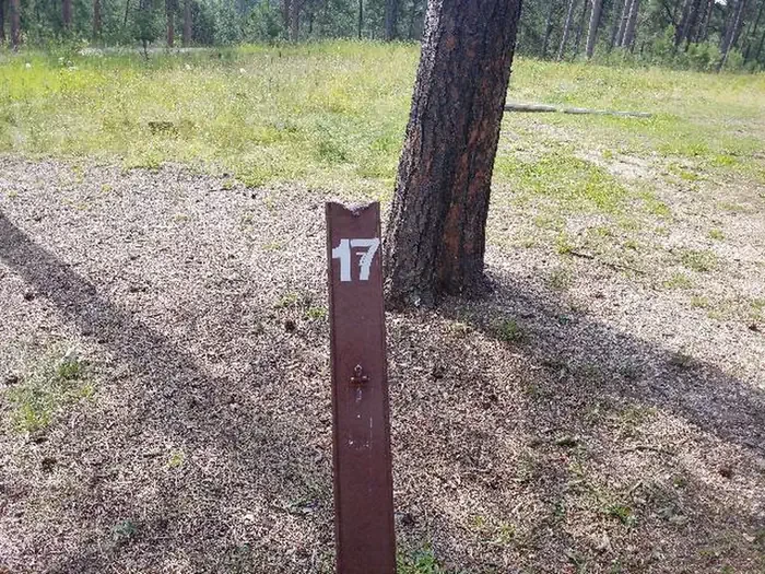 017