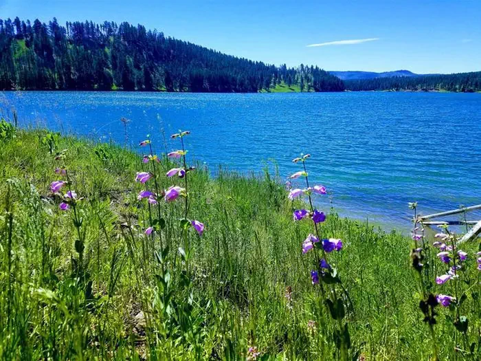 Dutchman Campground (No services provided for 2025 season.)