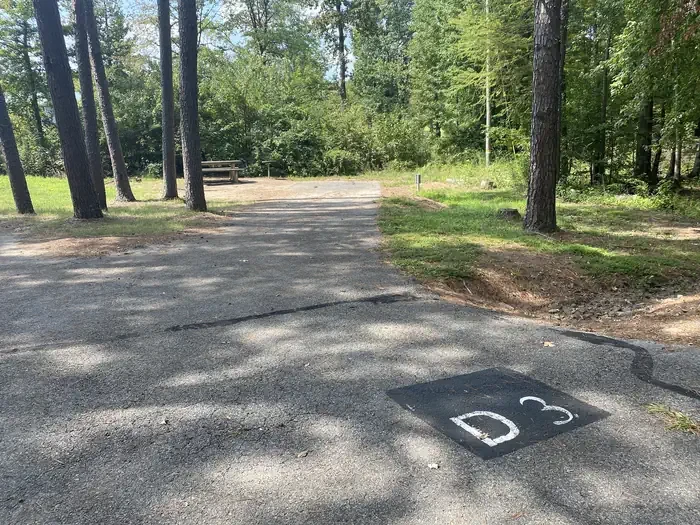 D03