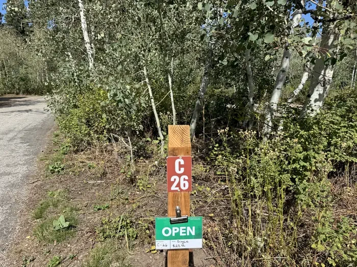 C26