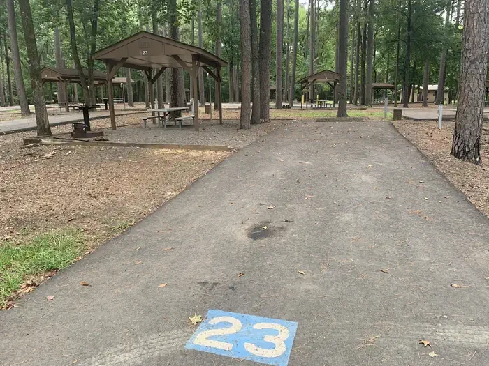 23