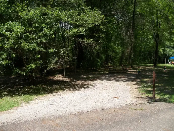 A085