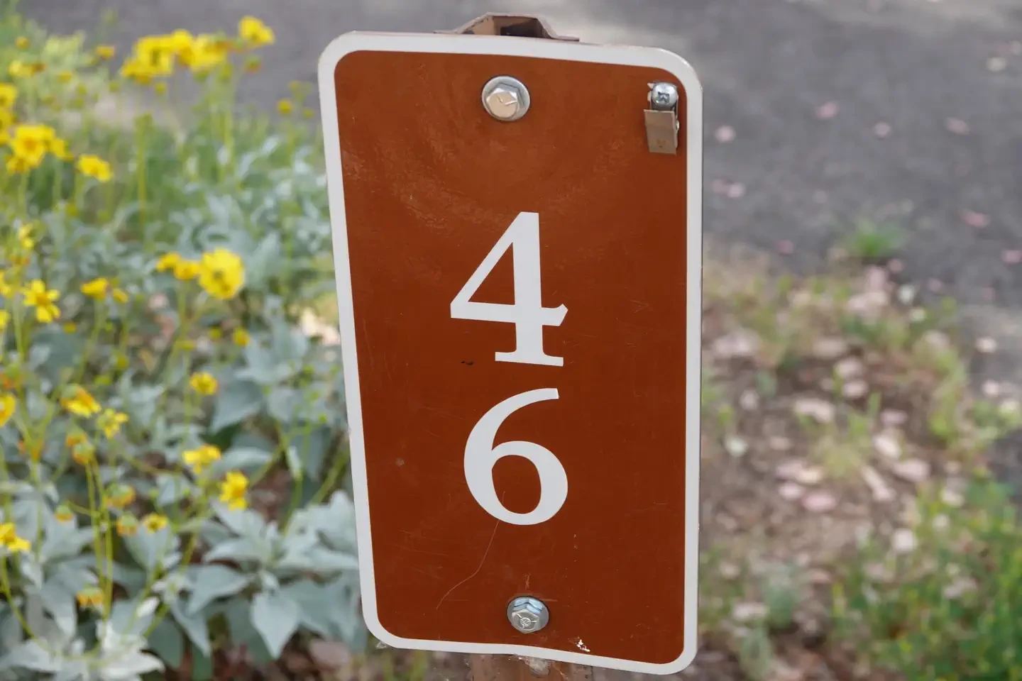 Site 46