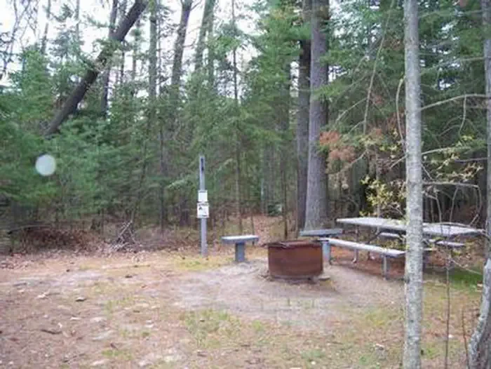 Loon Call