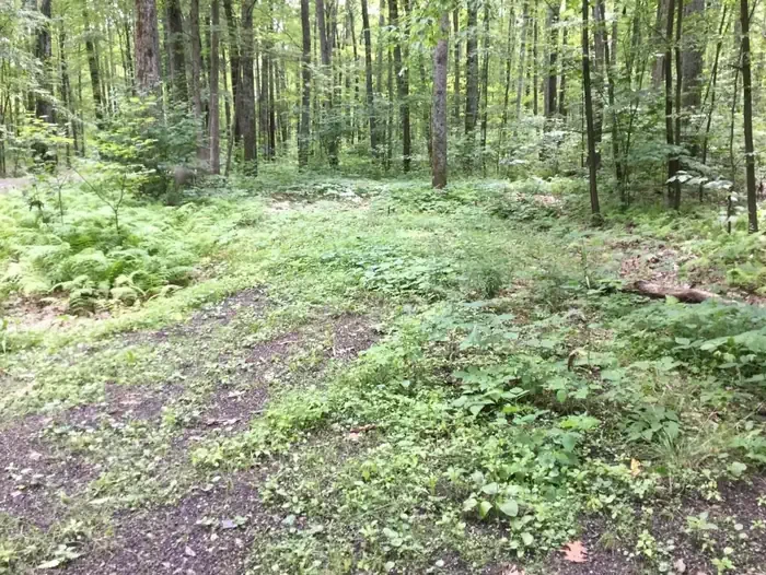 101