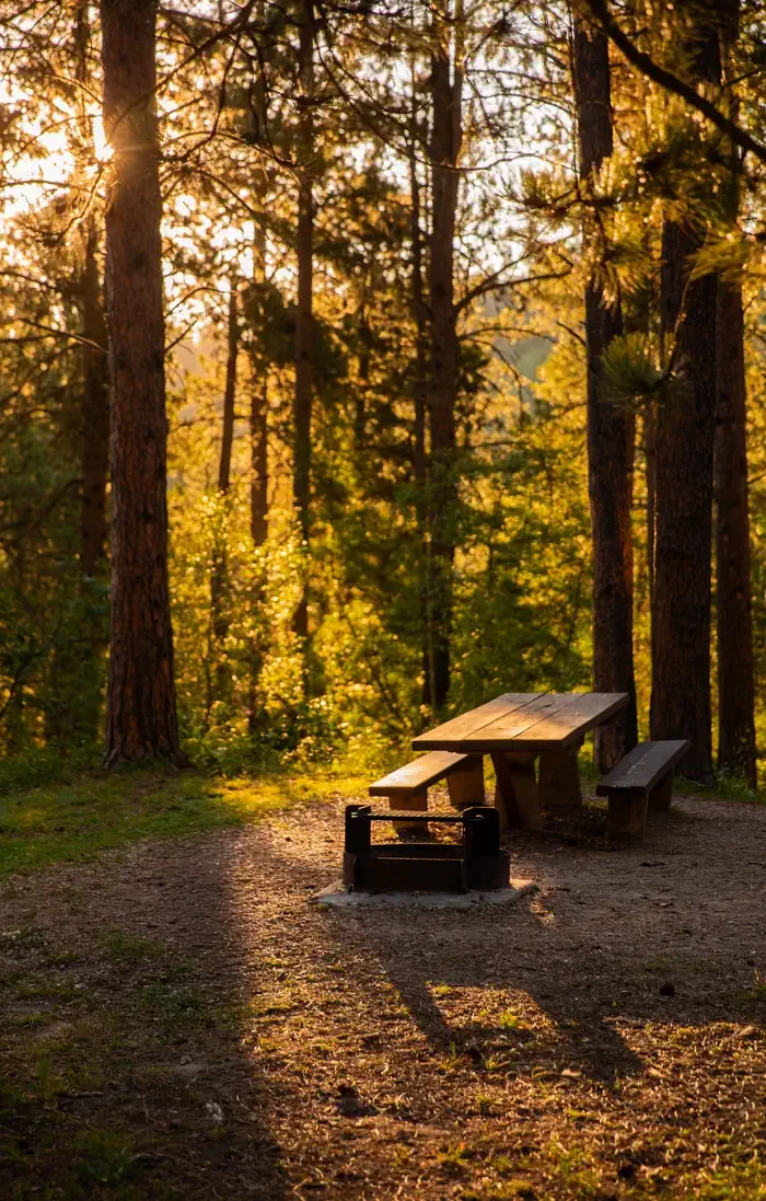 Cook Lake Campground