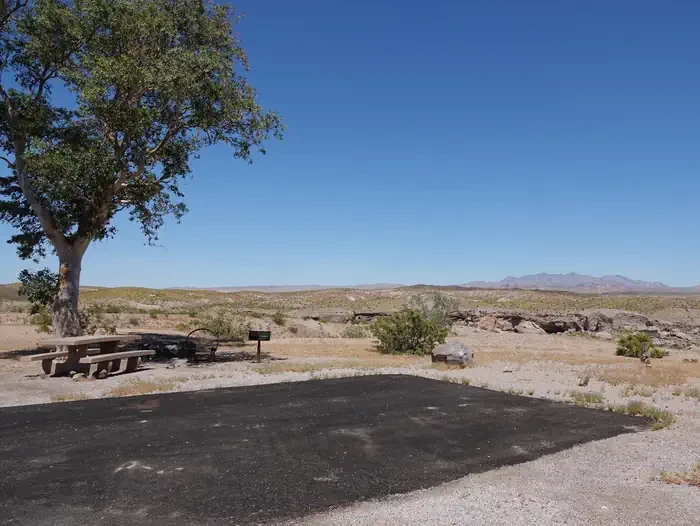 Site 71