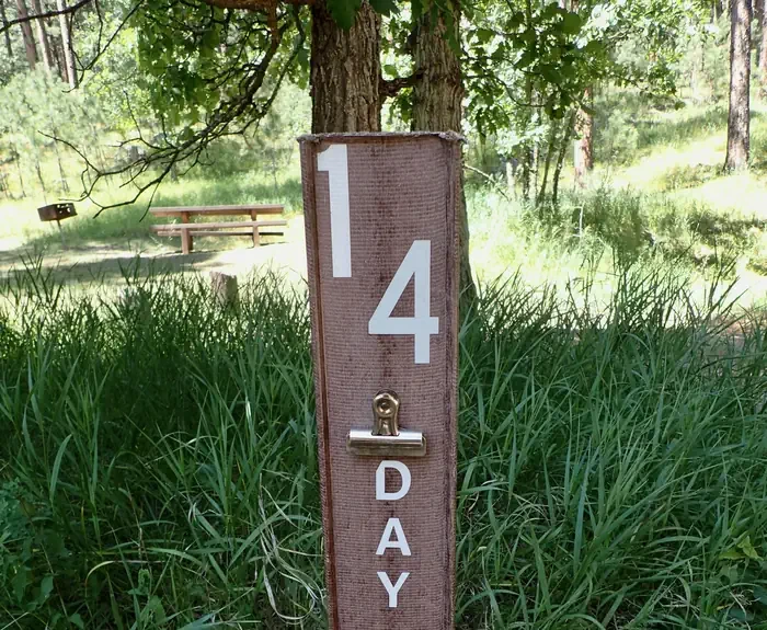 14