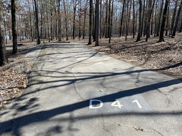 D41