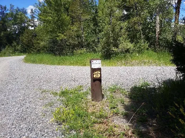 25
