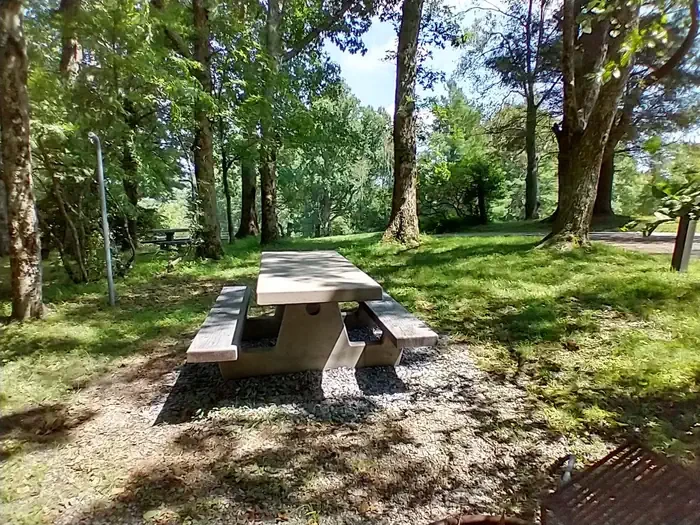 B43