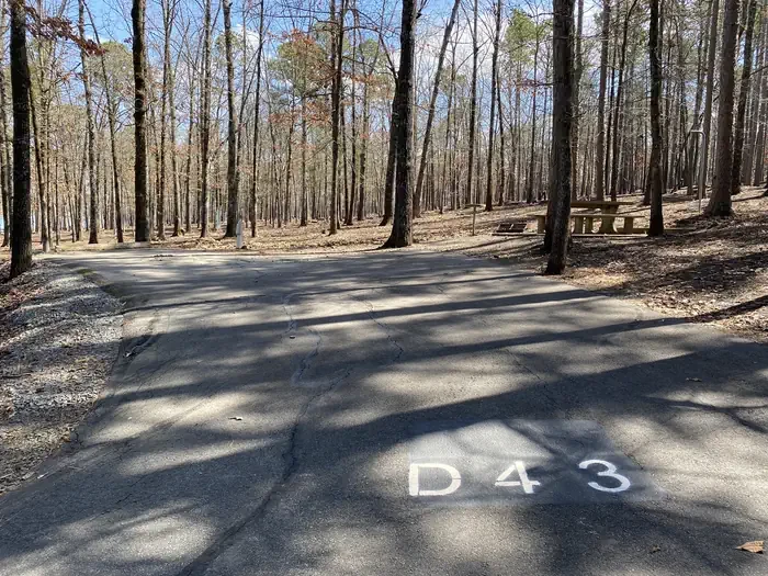 D43