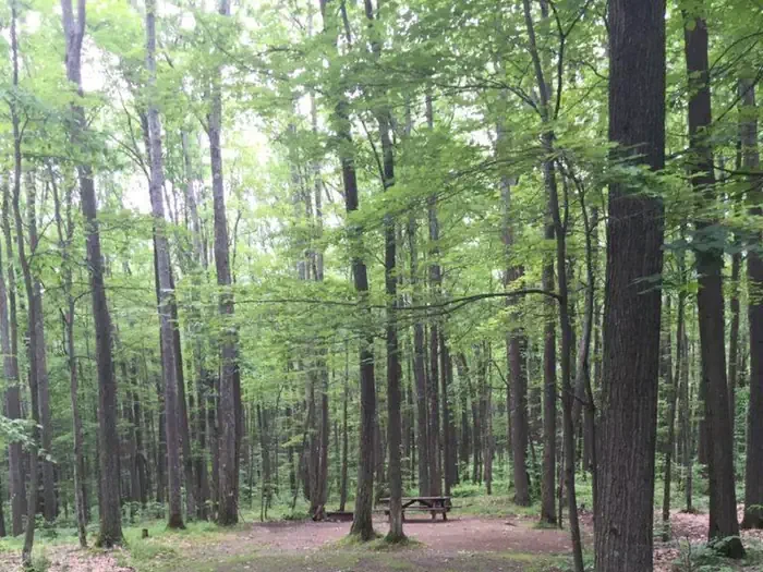 Minister Creek Campground and Trailhead