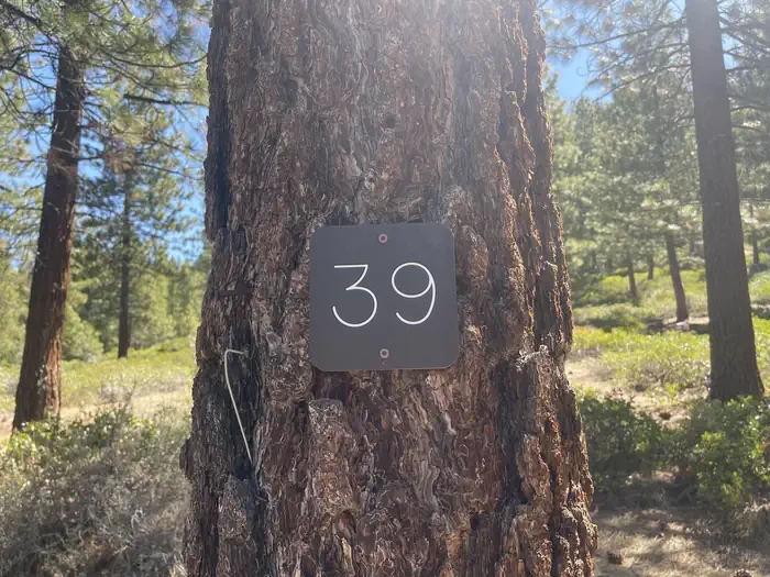 39