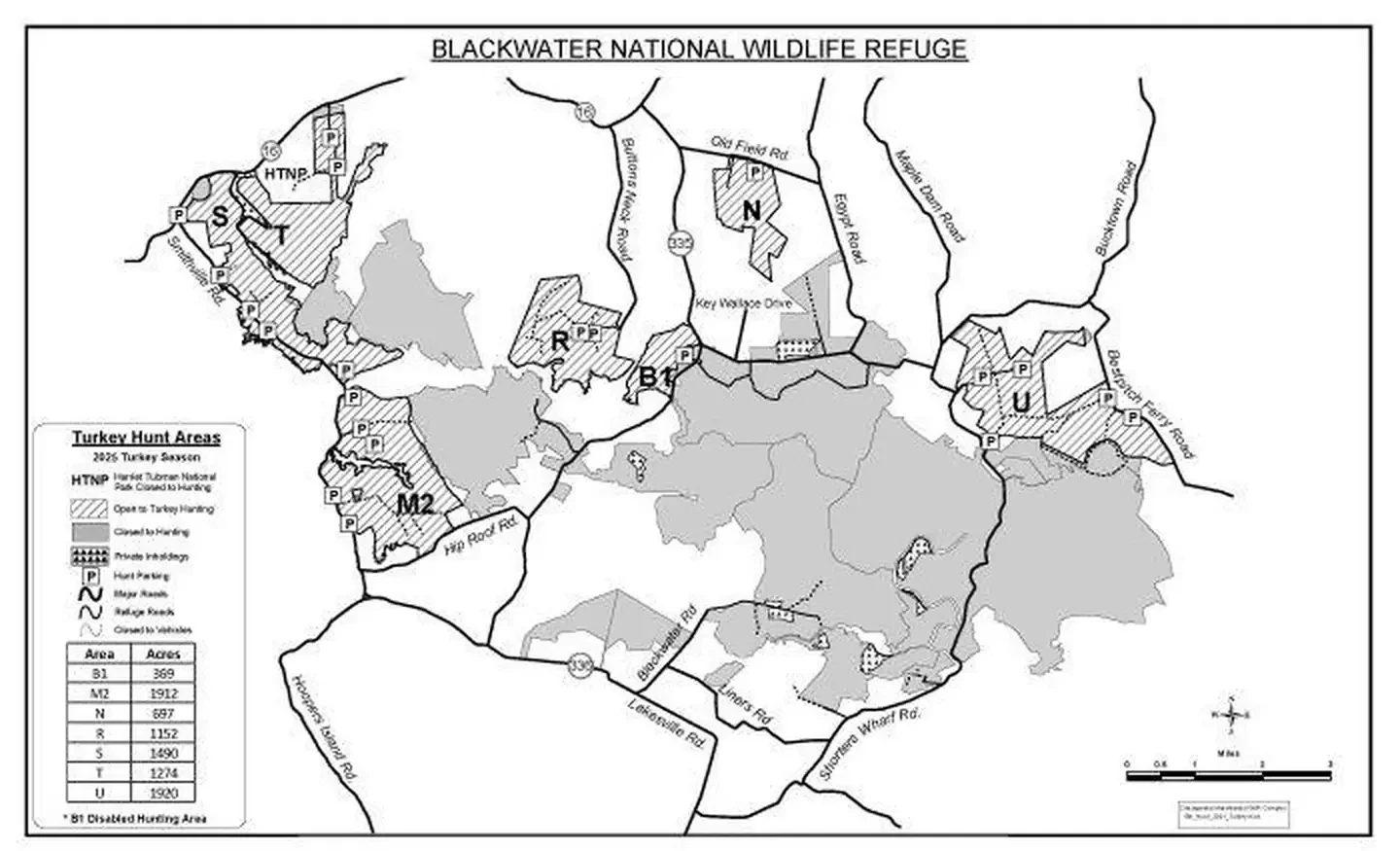 Blackwater National Wildlife Refuge Turkey Hunt Lottery and Permits