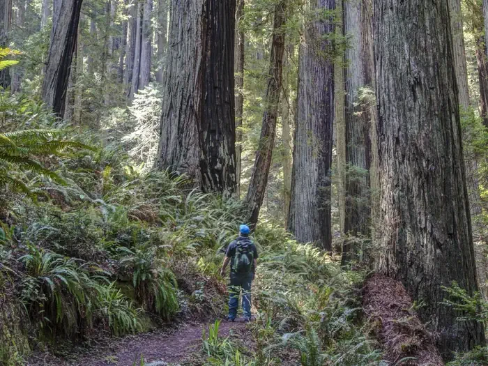 Salmon Pass Trail Docent Guided Hiking Tours