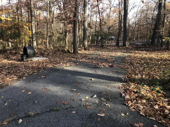 B36 Host parking