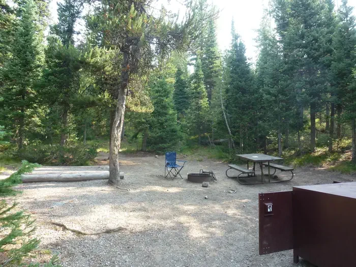 Lewis Lake site #11