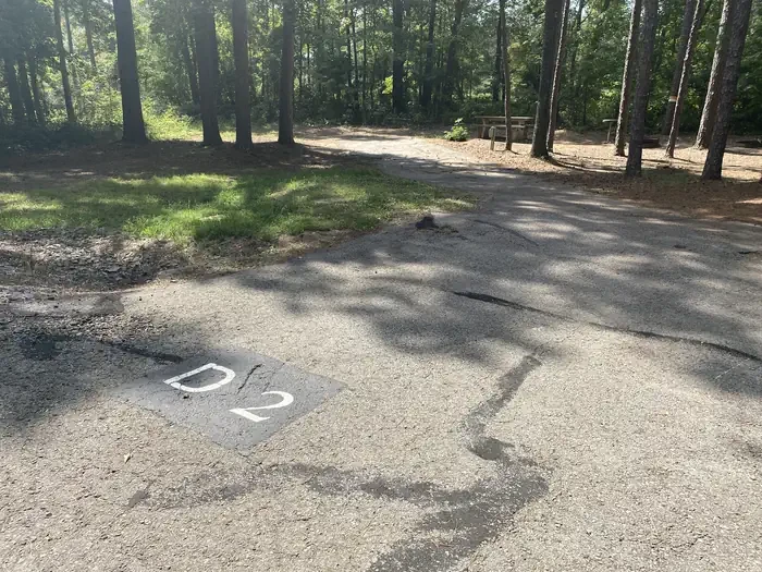D02