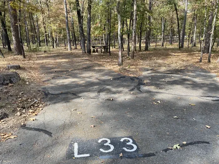 L33