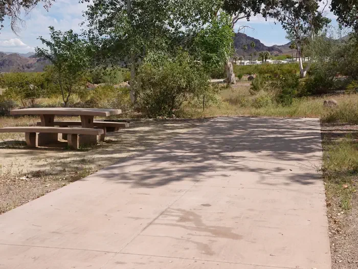 Site 78