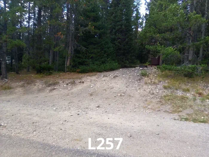 257