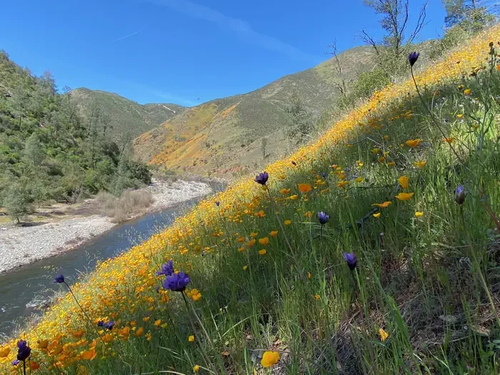 Railroad Flat Campground